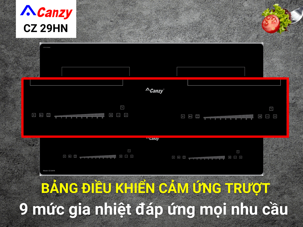 bếp từ canzy cz 29hn
