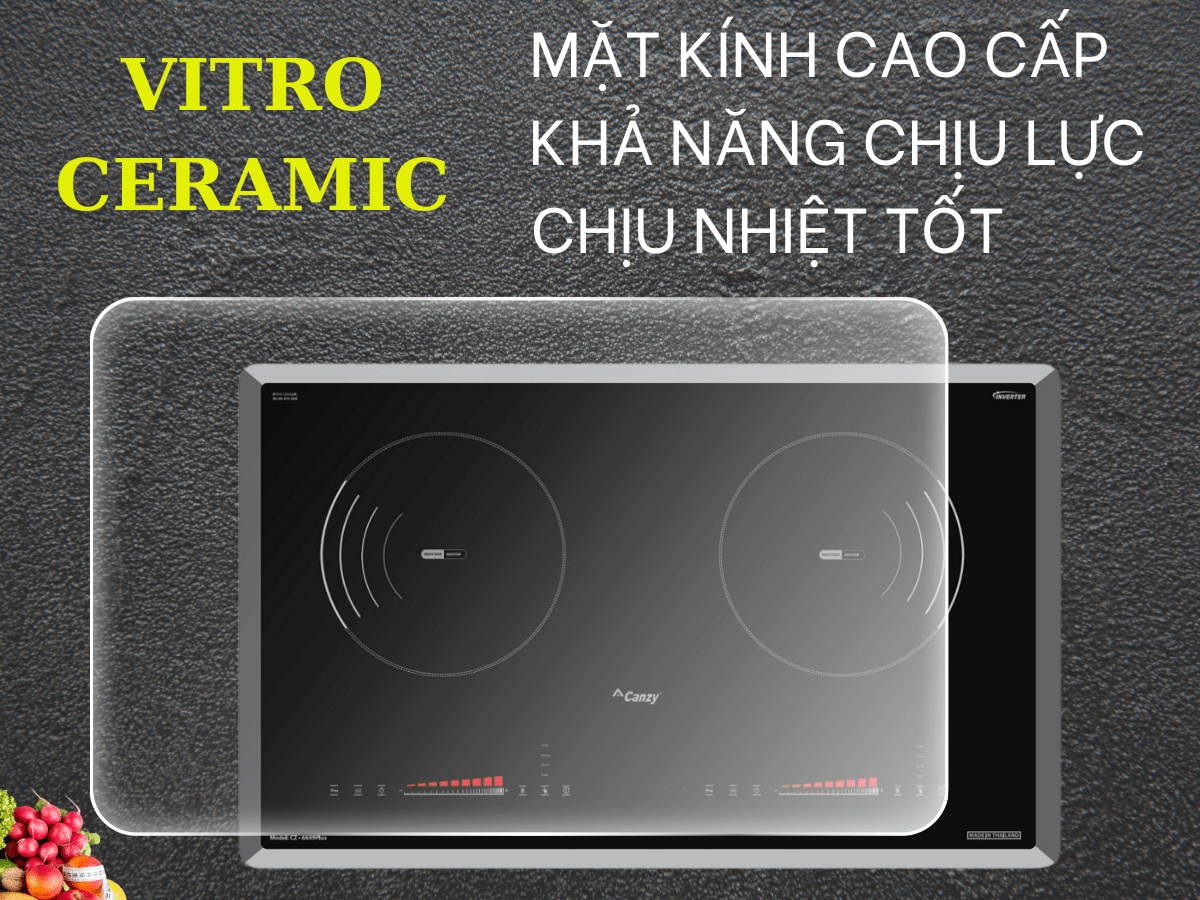 Bếp từ Canzy CZ 6699 PLUS