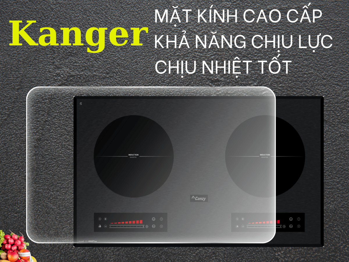 Bếp từ Canzy CZ 6868 PLUS