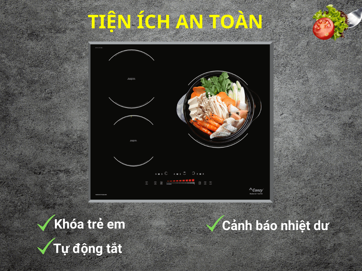 Bếp từ Canzy CZ TL67HA