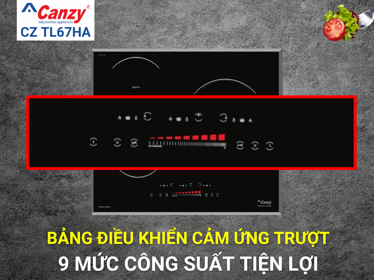 Bếp từ Canzy CZ TL67HA