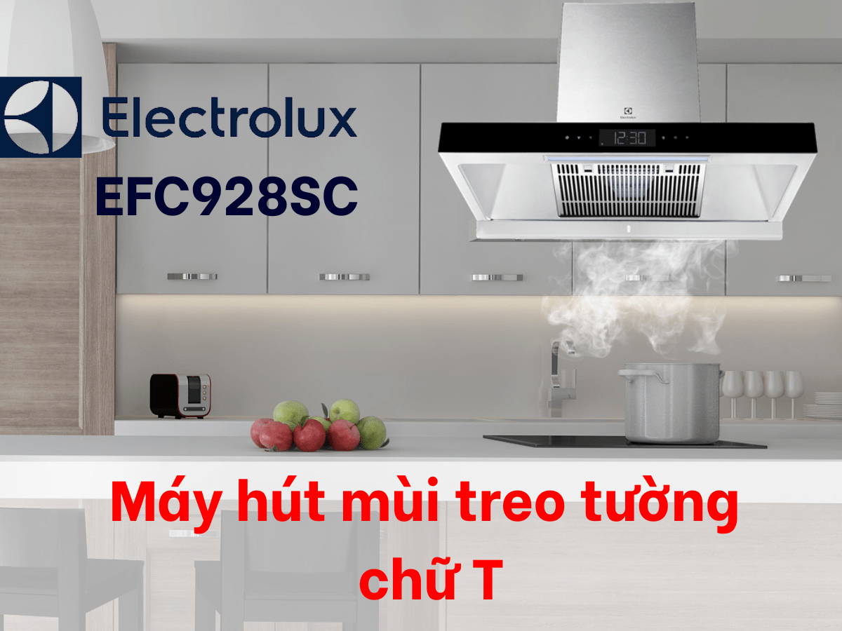 may hut mui electrolux efc928sc 5
