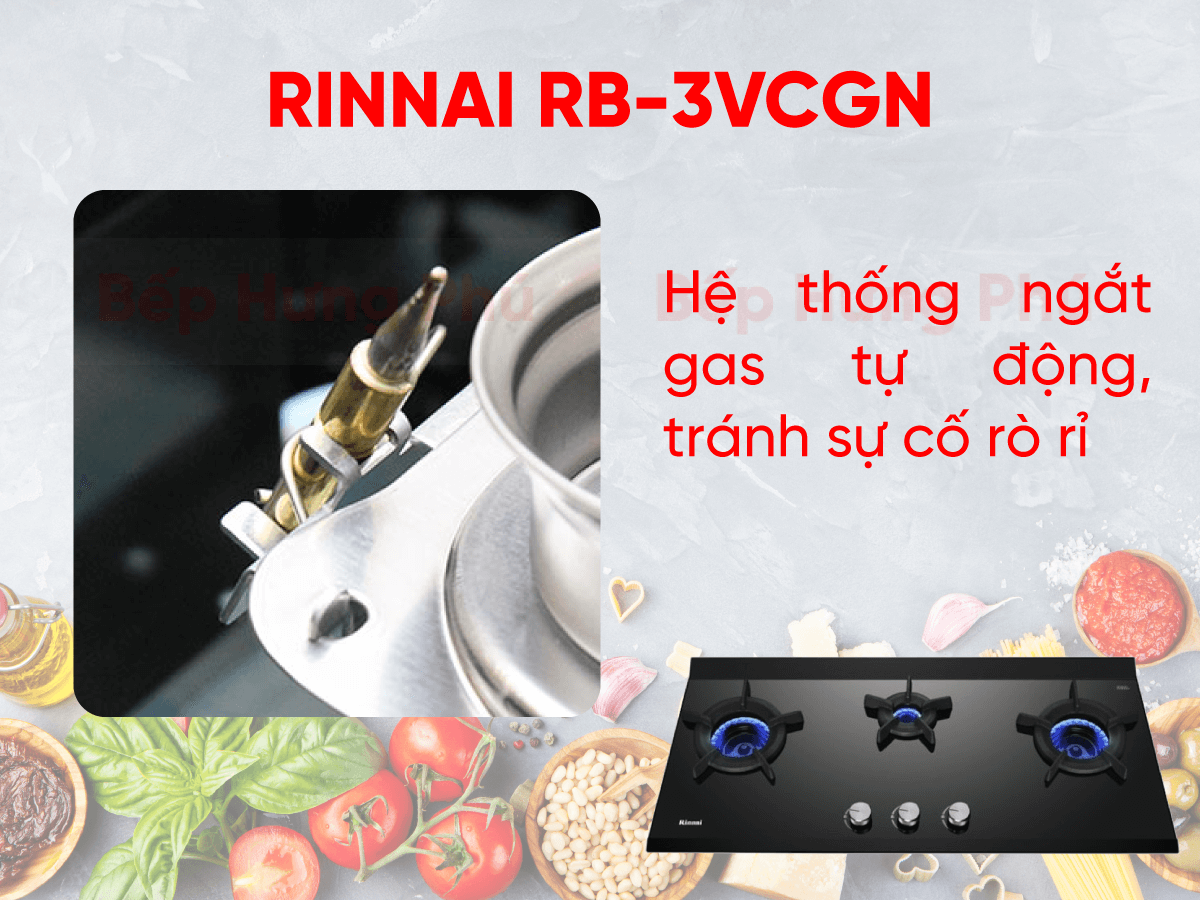 Bếp gas Rinnai RB-3VCGN