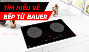 tim-hieu-ve-bep-tu-bauer