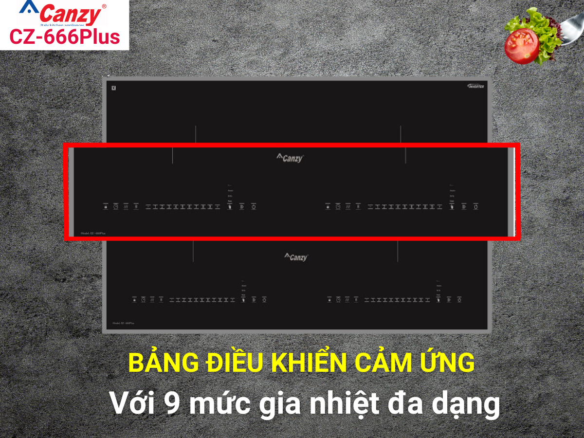 Bếp từ Canzy CZ-666Plus