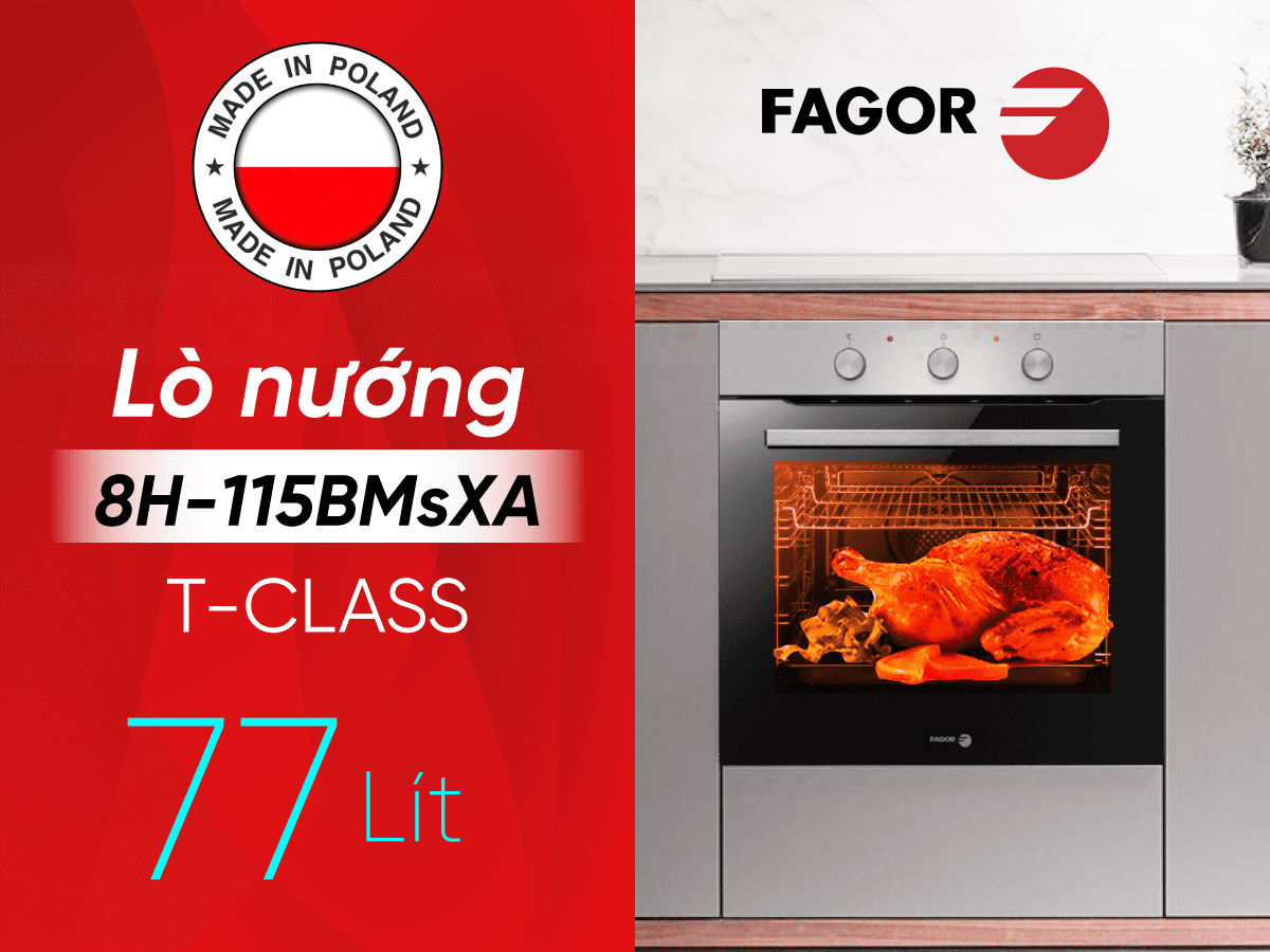 5-mau-lo-nuong-ban-chay-cua-fagor-3