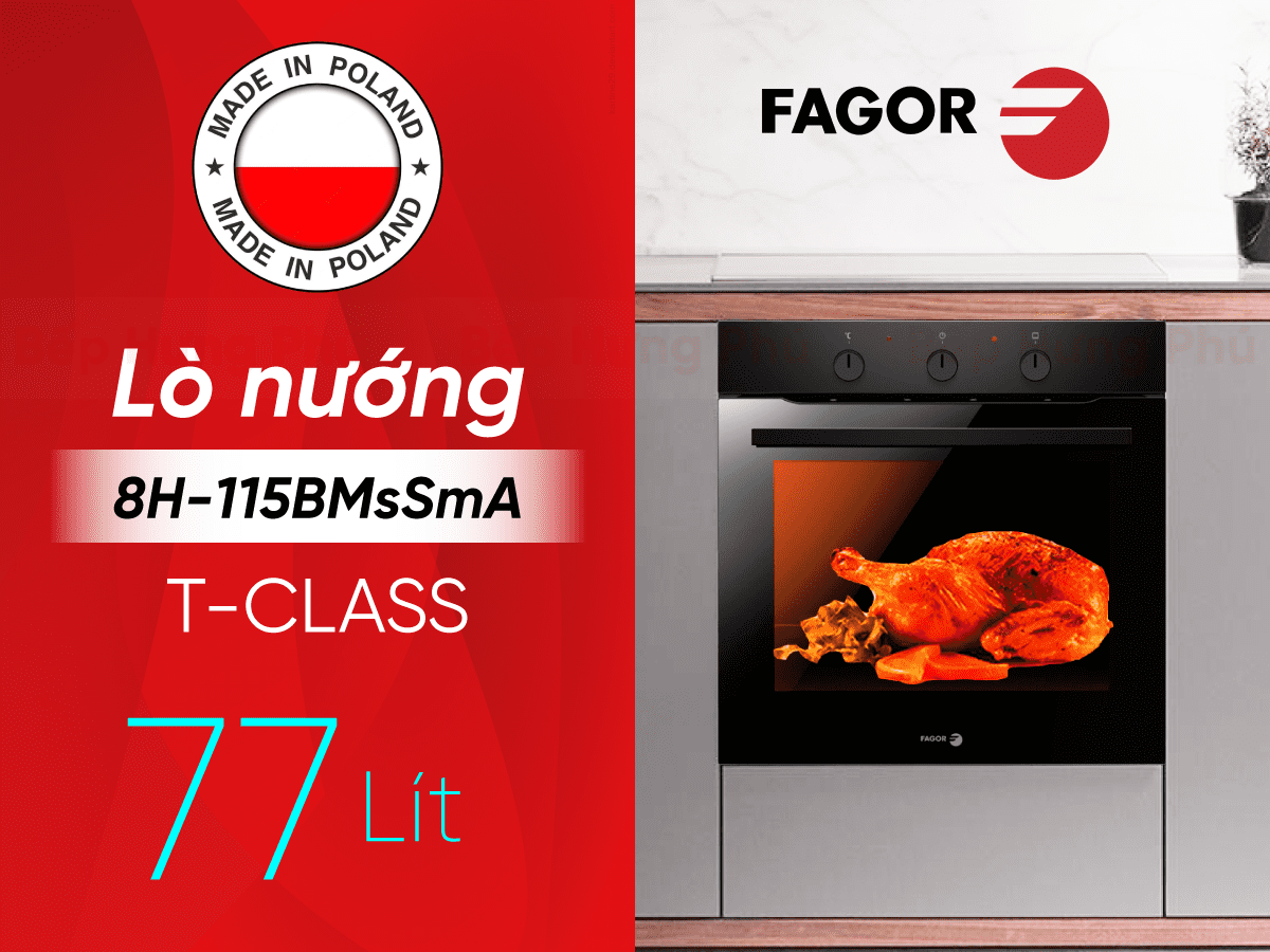5-mau-lo-nuong-ban-chay-cua-fagor-4