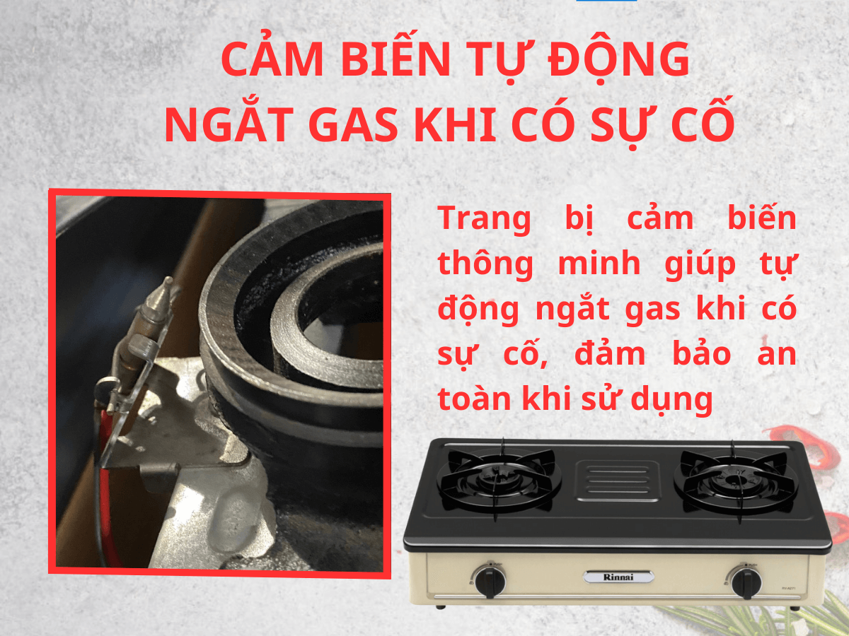Bếp gas Rinnai RV-A271Y(EB)