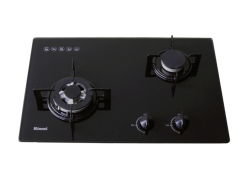 Bếp gas Rinnai RVB-6SDQ(B)