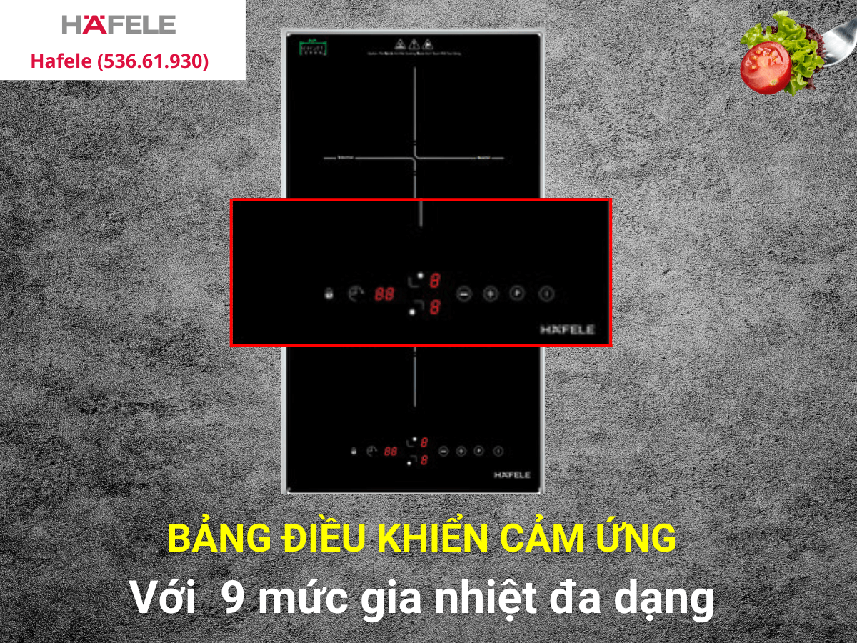 Bếp từ Domino Hafele (536.61.930)