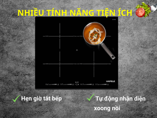 Bếp từ Hafele HC-IF60D (536.01.911)