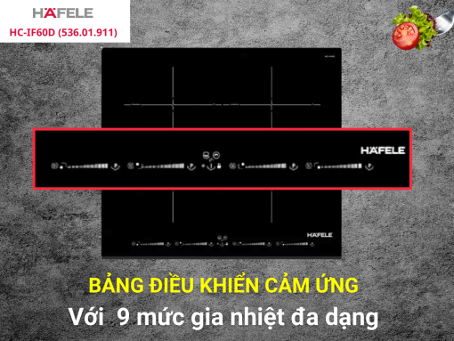Bếp từ Hafele HC-IF60D (536.01.911)