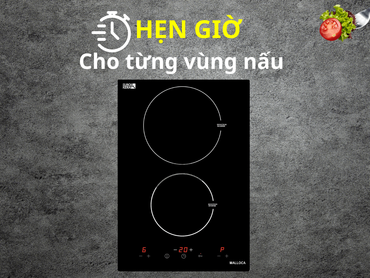 Bếp từ Malloca MDH-02I