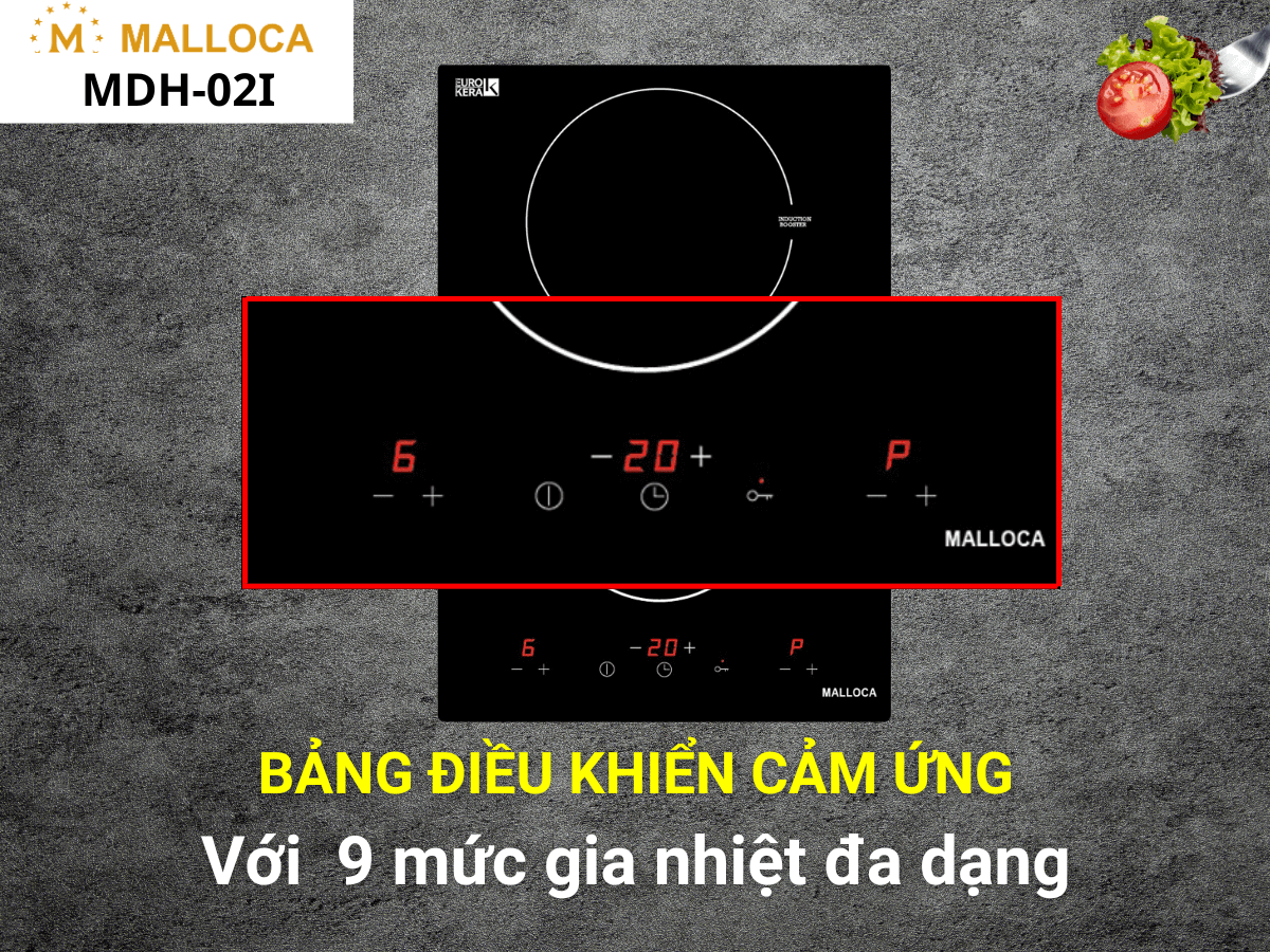 Bếp từ Malloca MDH-02I