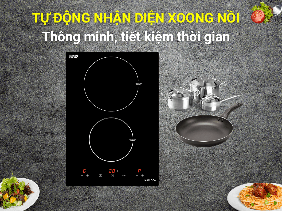 Bếp từ Malloca MDH-02I