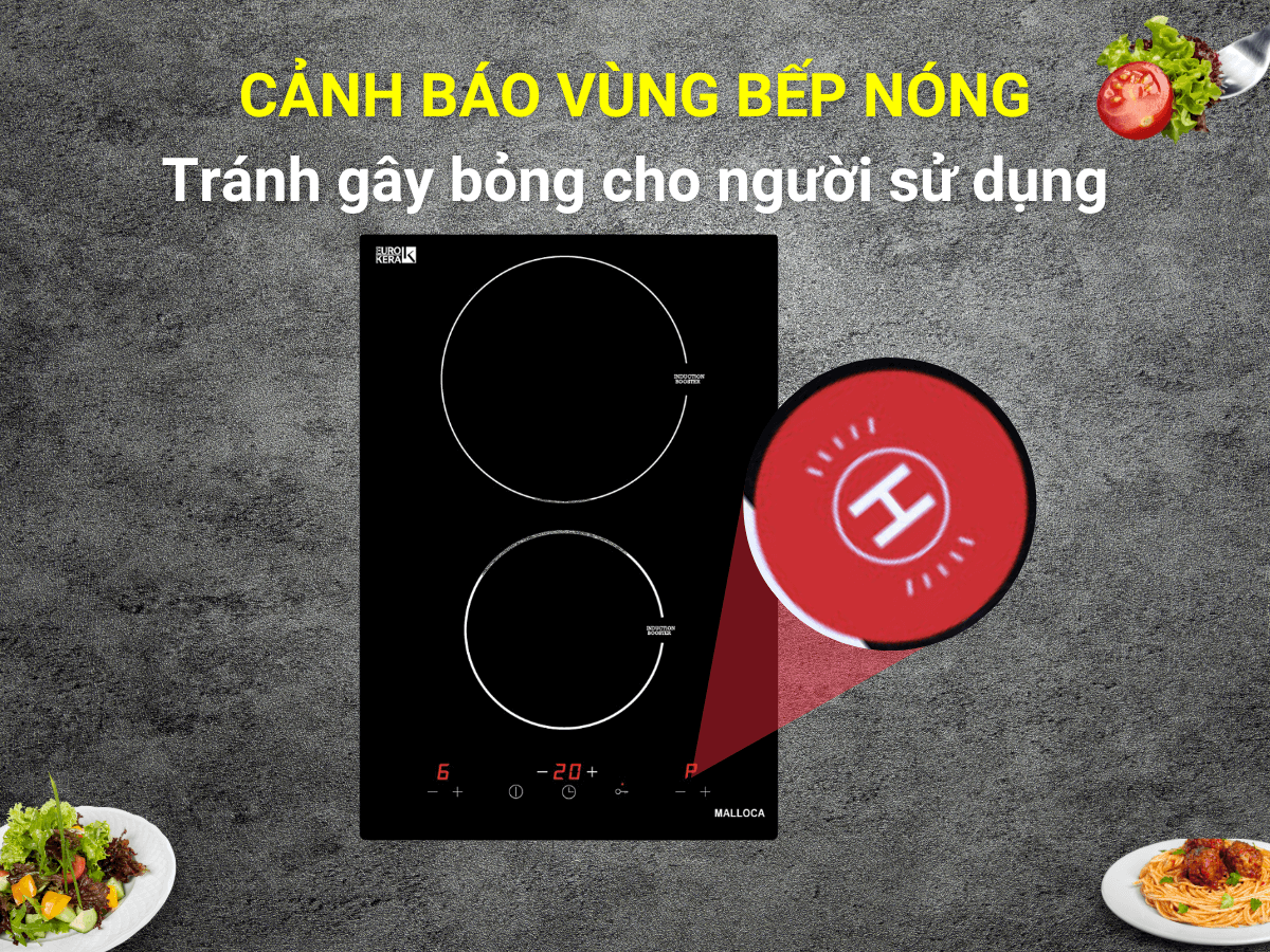 Bếp từ Malloca MDH-02I