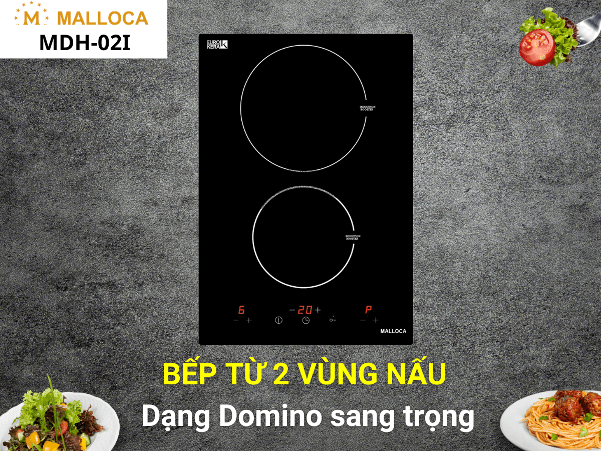Bếp từ Malloca MDH-02I
