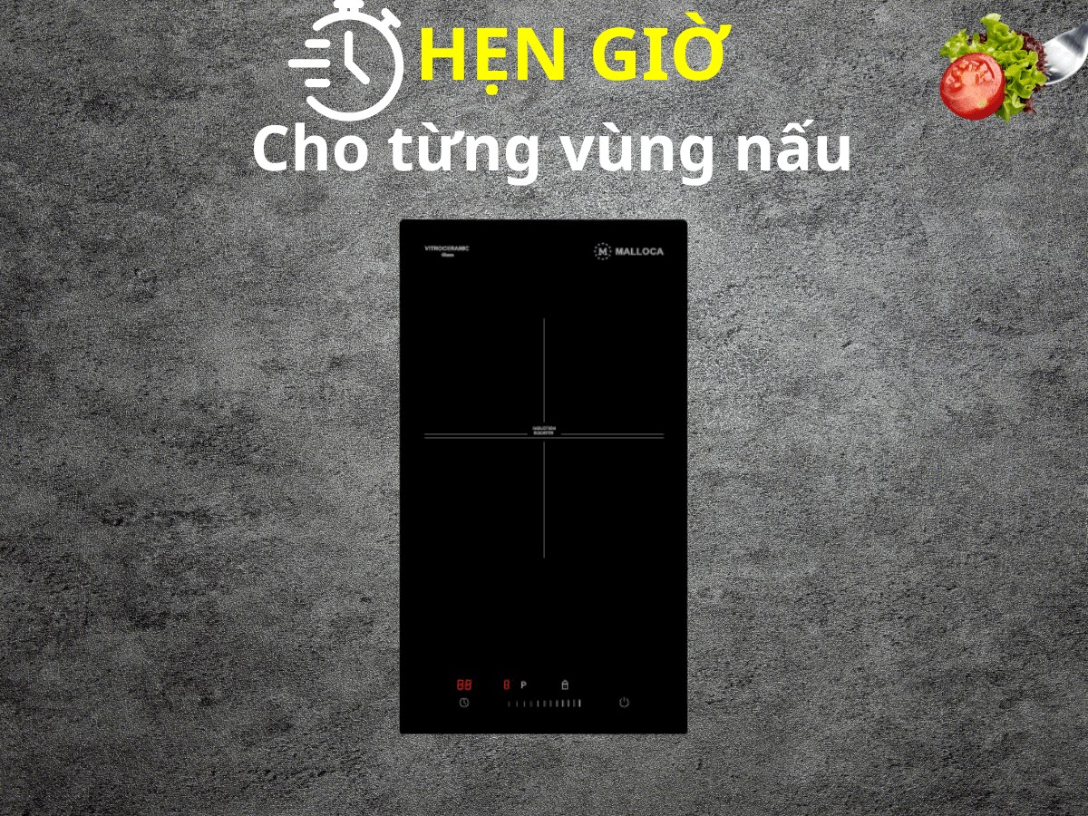 Bếp từ Malloca MDI 301