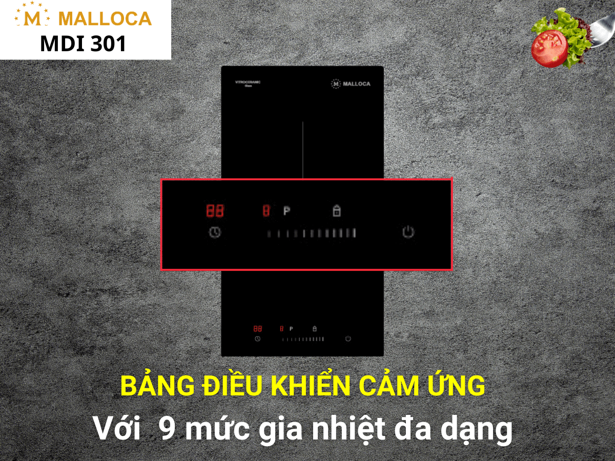 Bếp từ Malloca MDI 301