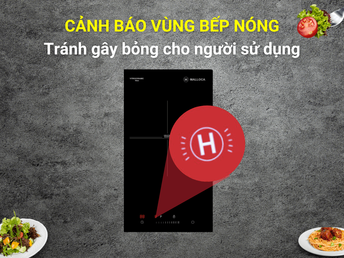 Bếp từ Malloca MDI 301