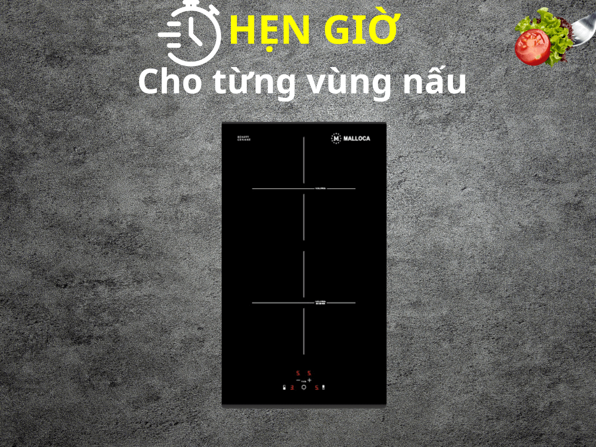 Bếp từ Malloca MDI 302