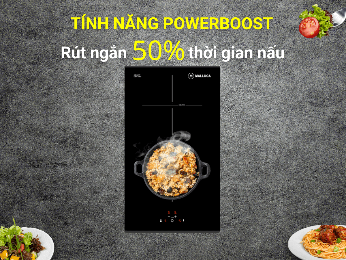 Bếp từ Malloca MDI 302