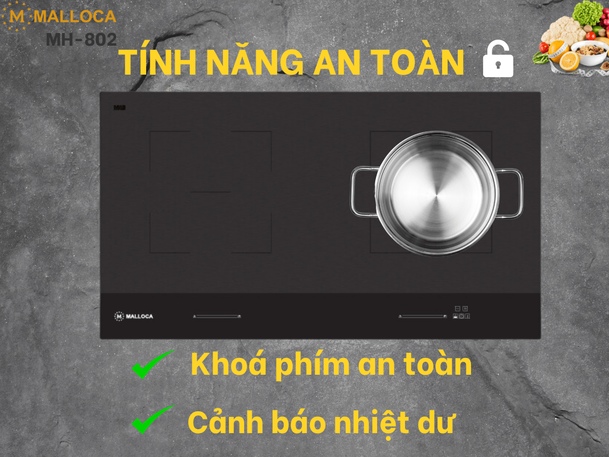 Bếp từ Malloca MH-802