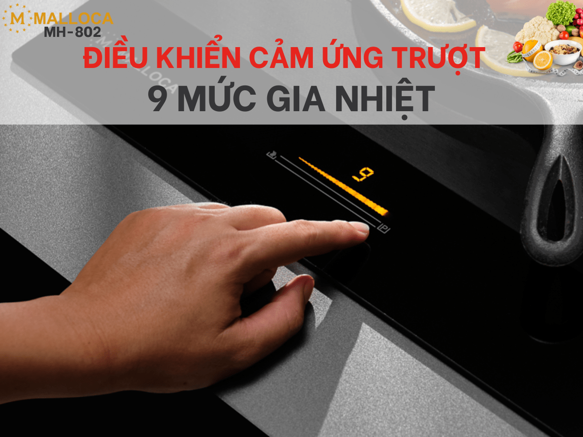 Bếp từ Malloca MH-802