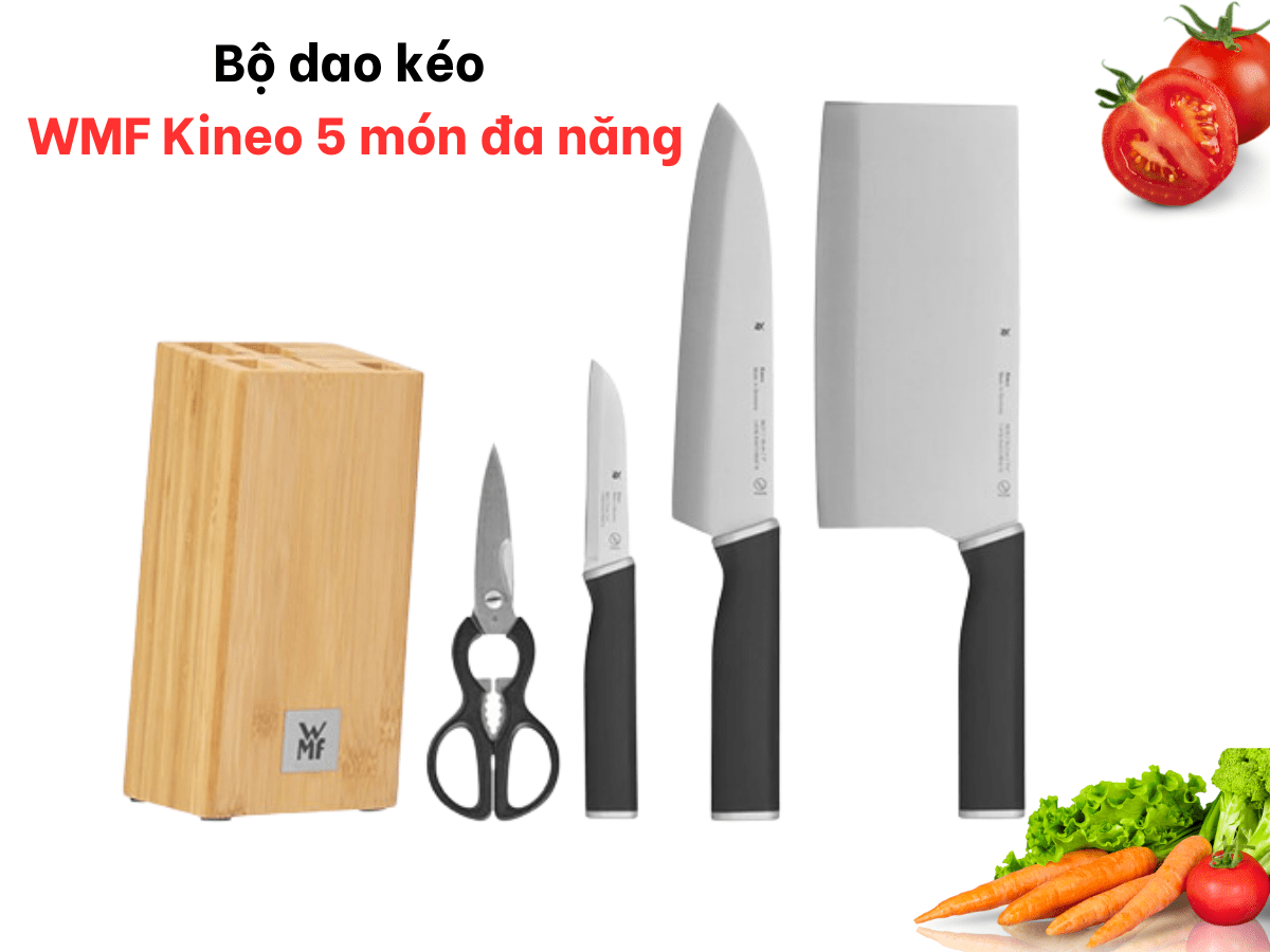 Bộ dao kéo WMF Kineo 5 món