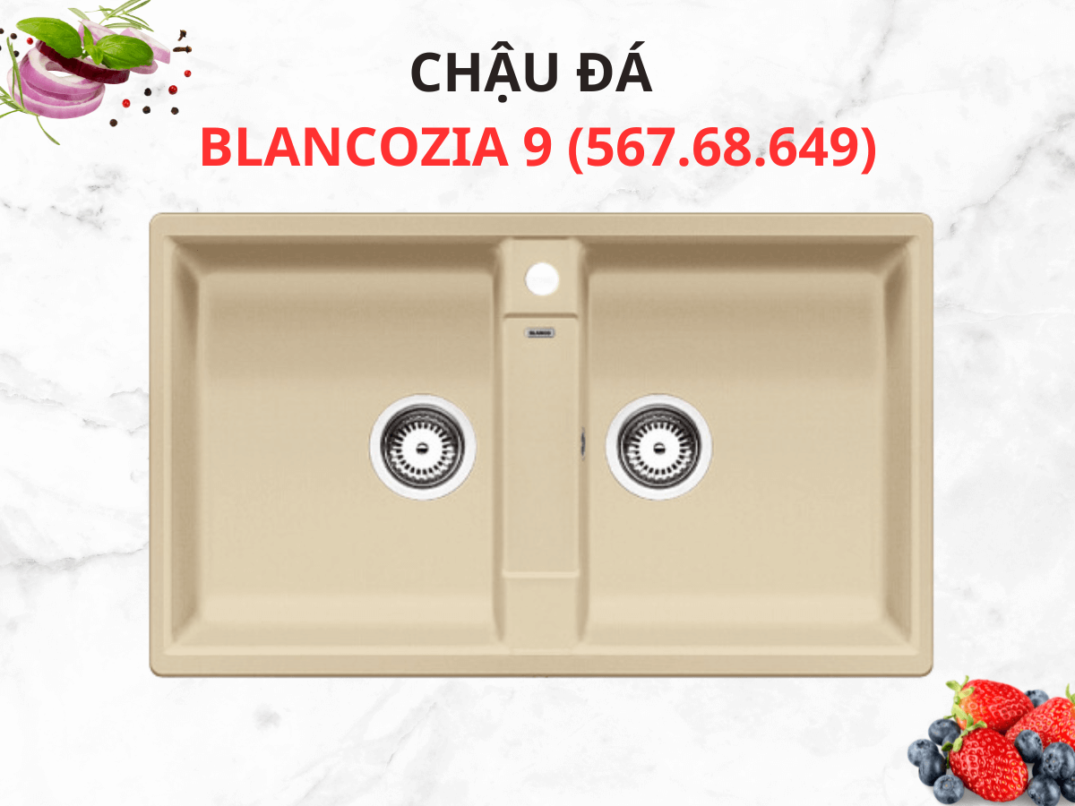 Chậu đá Blancozia 9 (567.68.649)