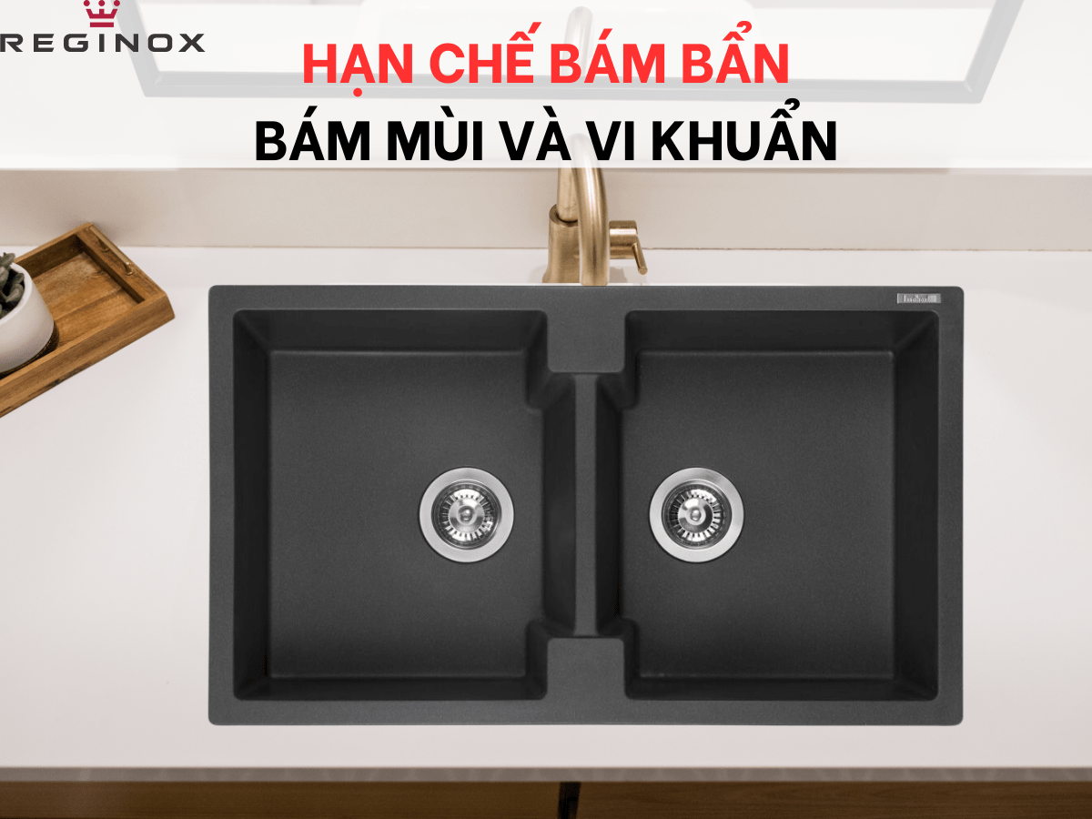 Chậu đá Reginox Amsterdam 20 R31001
