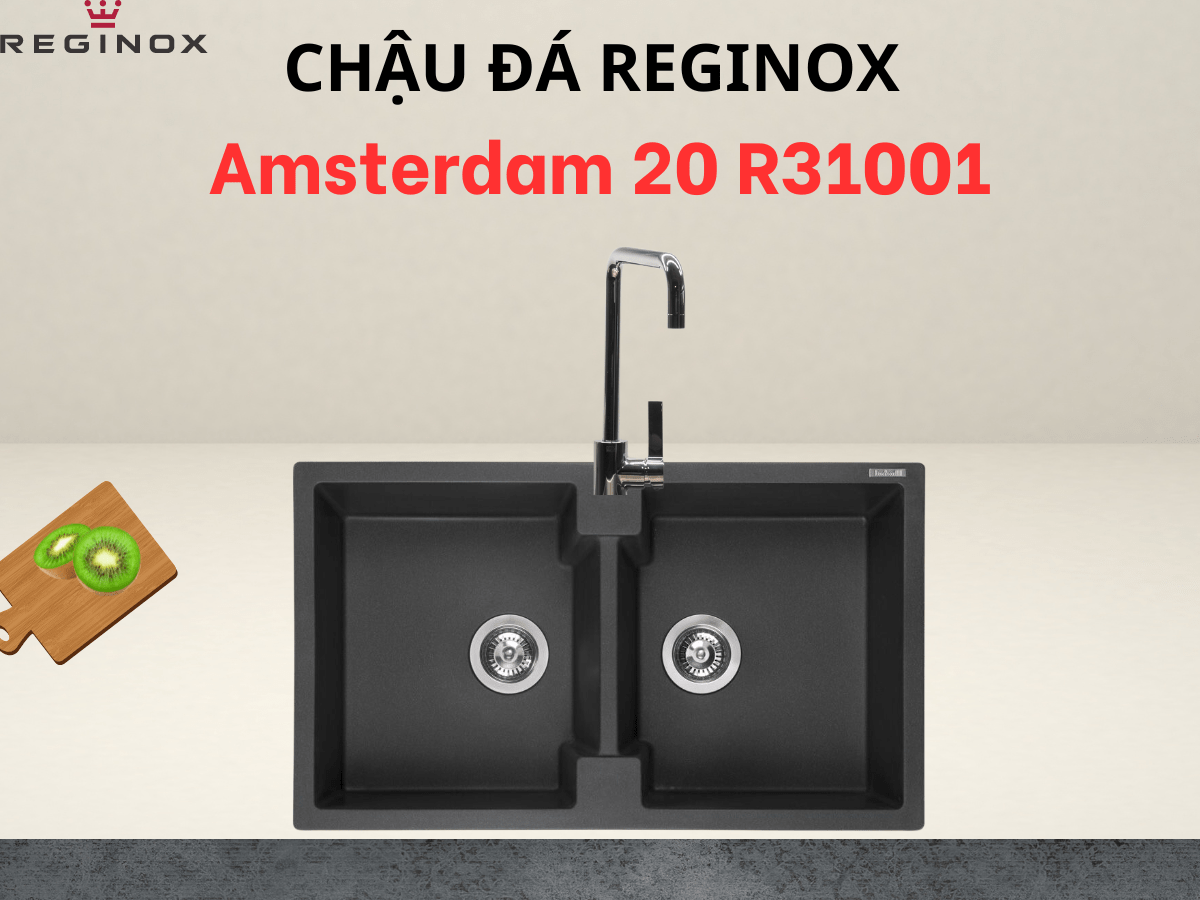 Chậu đá Reginox Amsterdam 20 R31001