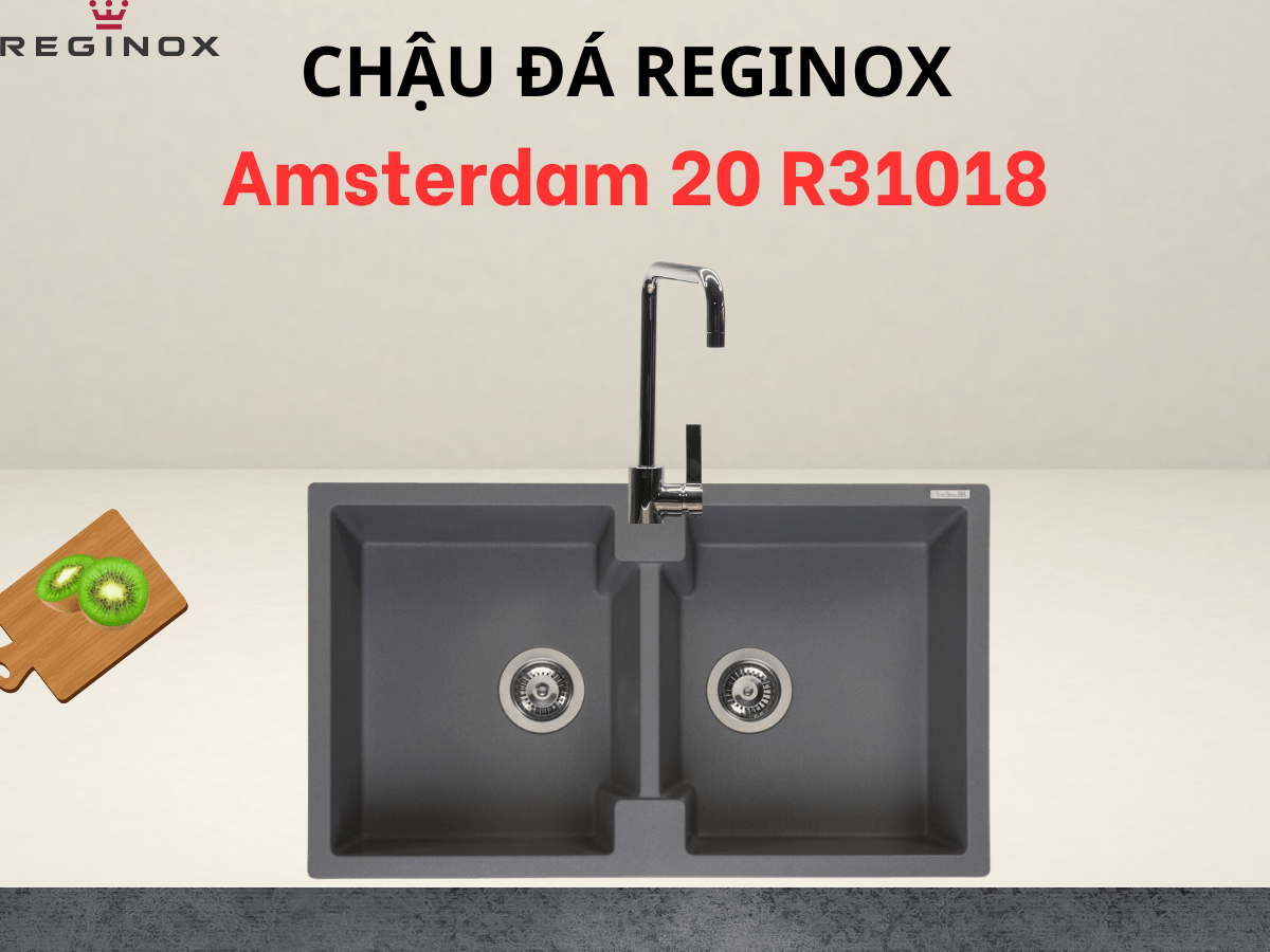 Chậu đá Reginox Amsterdam 20 R31018