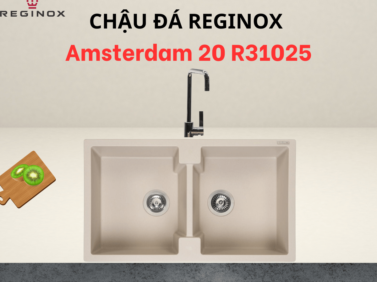 Chậu đá Reginox Amsterdam 20 R31025
