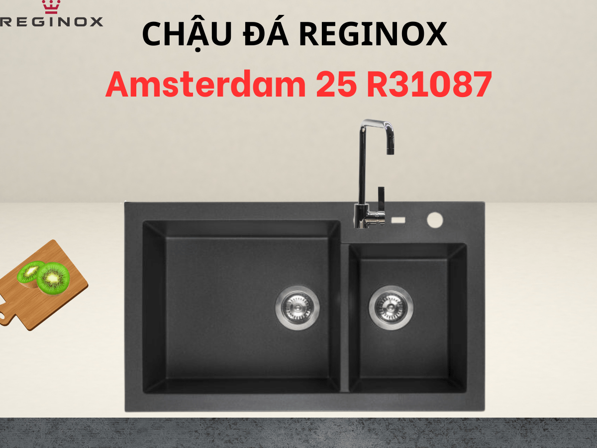 Chậu đá Reginox Amsterdam 25 R31087