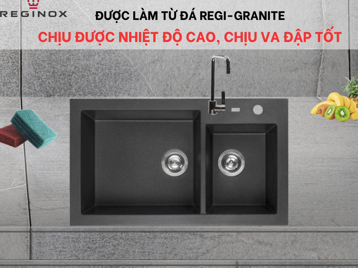 Chậu đá Reginox Amsterdam 25 R31087