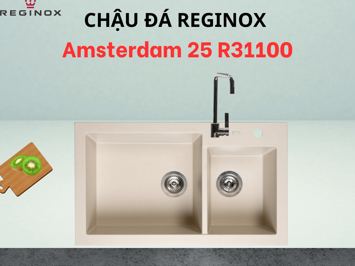 Chậu đá Reginox Amsterdam 25 R31100