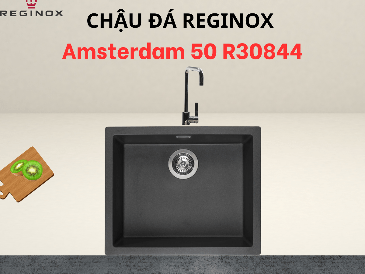Chậu đá Reginox Amsterdam 50 R30844