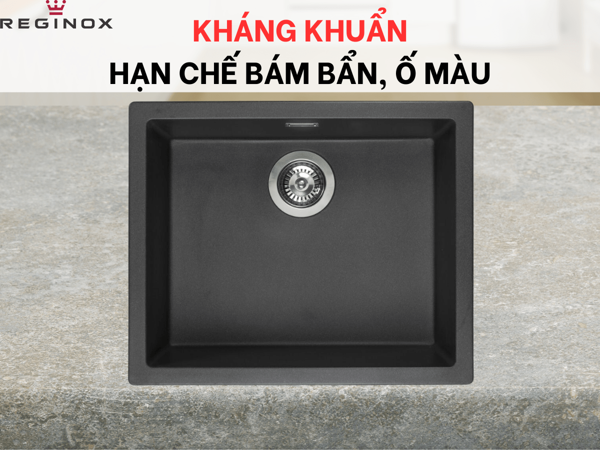 Chậu đá Reginox Amsterdam 50 R30844
