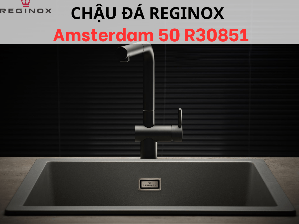 Chậu đá Reginox Amsterdam 50 R30851