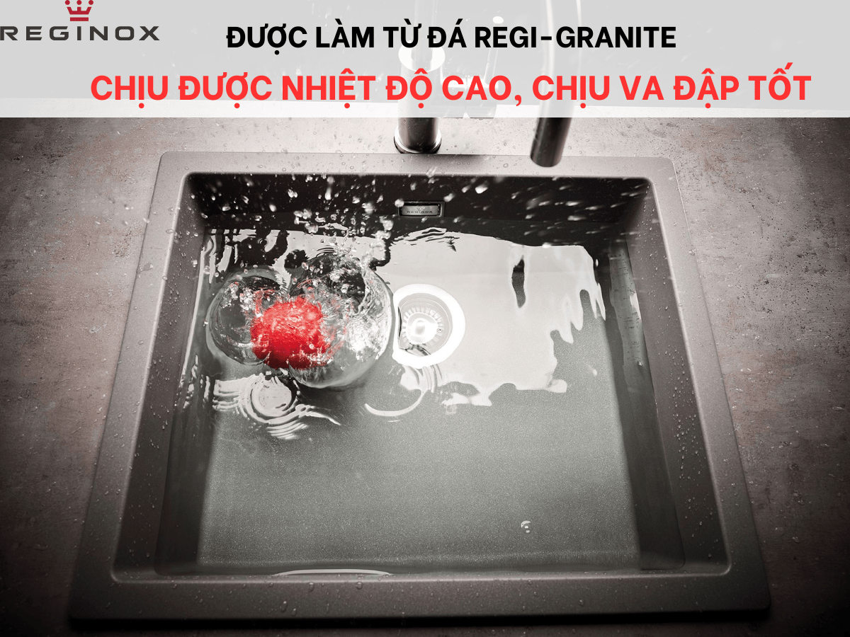 Chậu đá Reginox Amsterdam 50 R30851
