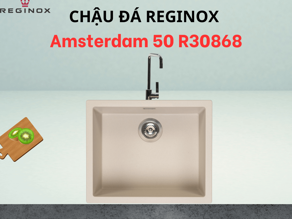 Chậu đá Reginox Amsterdam 50 R30868