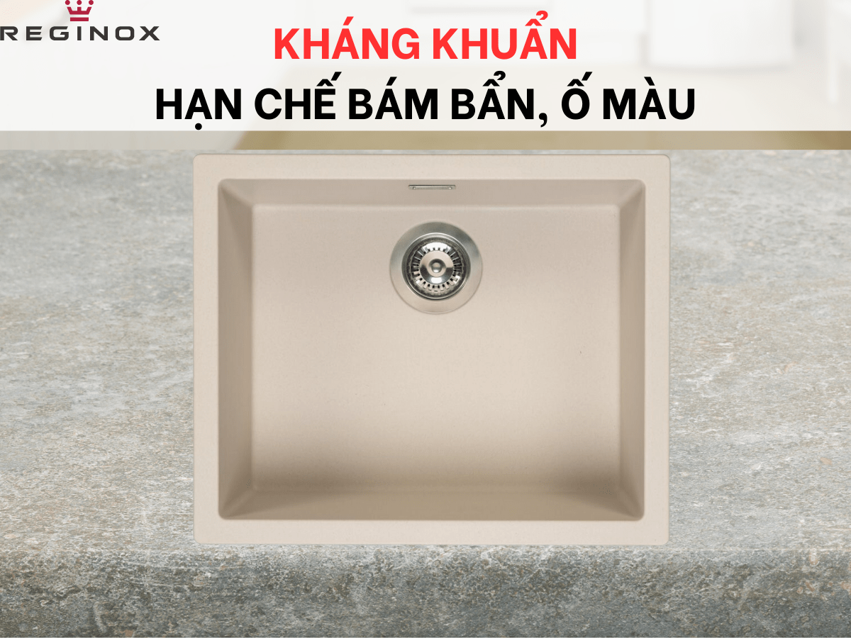 Chậu đá Reginox Amsterdam 50 R30868