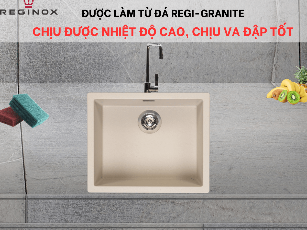 Chậu đá Reginox Amsterdam 50 R30868