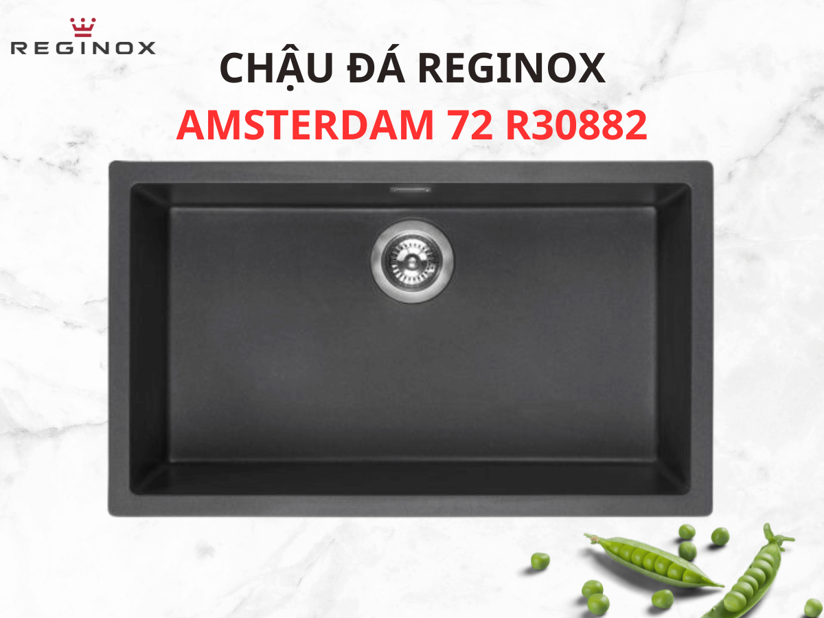 Chậu đá Reginox Amsterdam 72 R30882