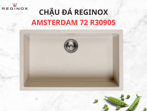 Chậu đá Reginox Amsterdam 72 R30868 có thiết kế sang trọng