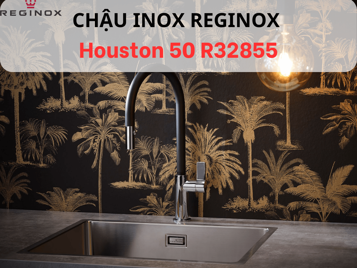 Chậu inox Reginox Houston 50 R32855