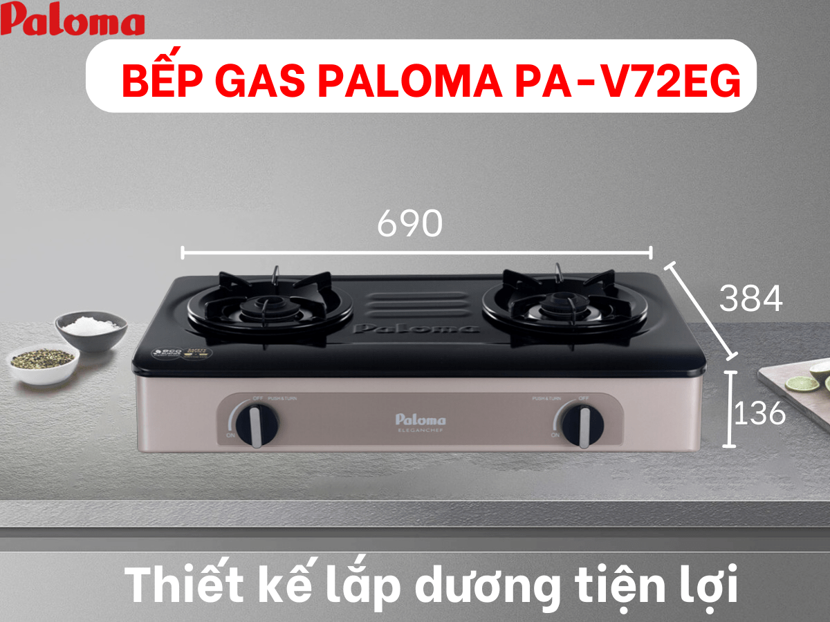 bep-gas-paloma-pa-v72eg (1)