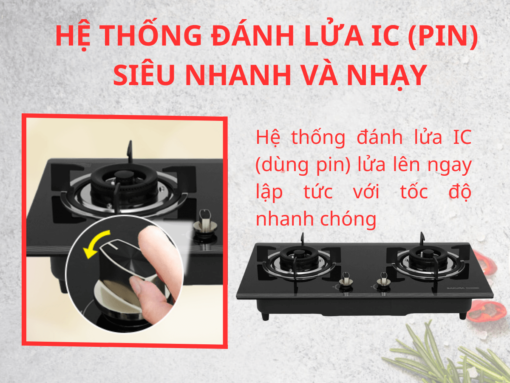 Bếp gas Sakura SG-2530GB