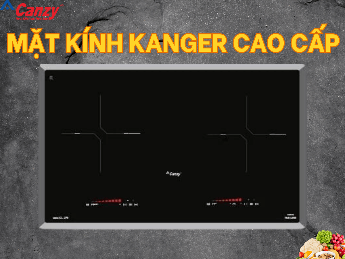 Bếp từ Canzy CZ 279I